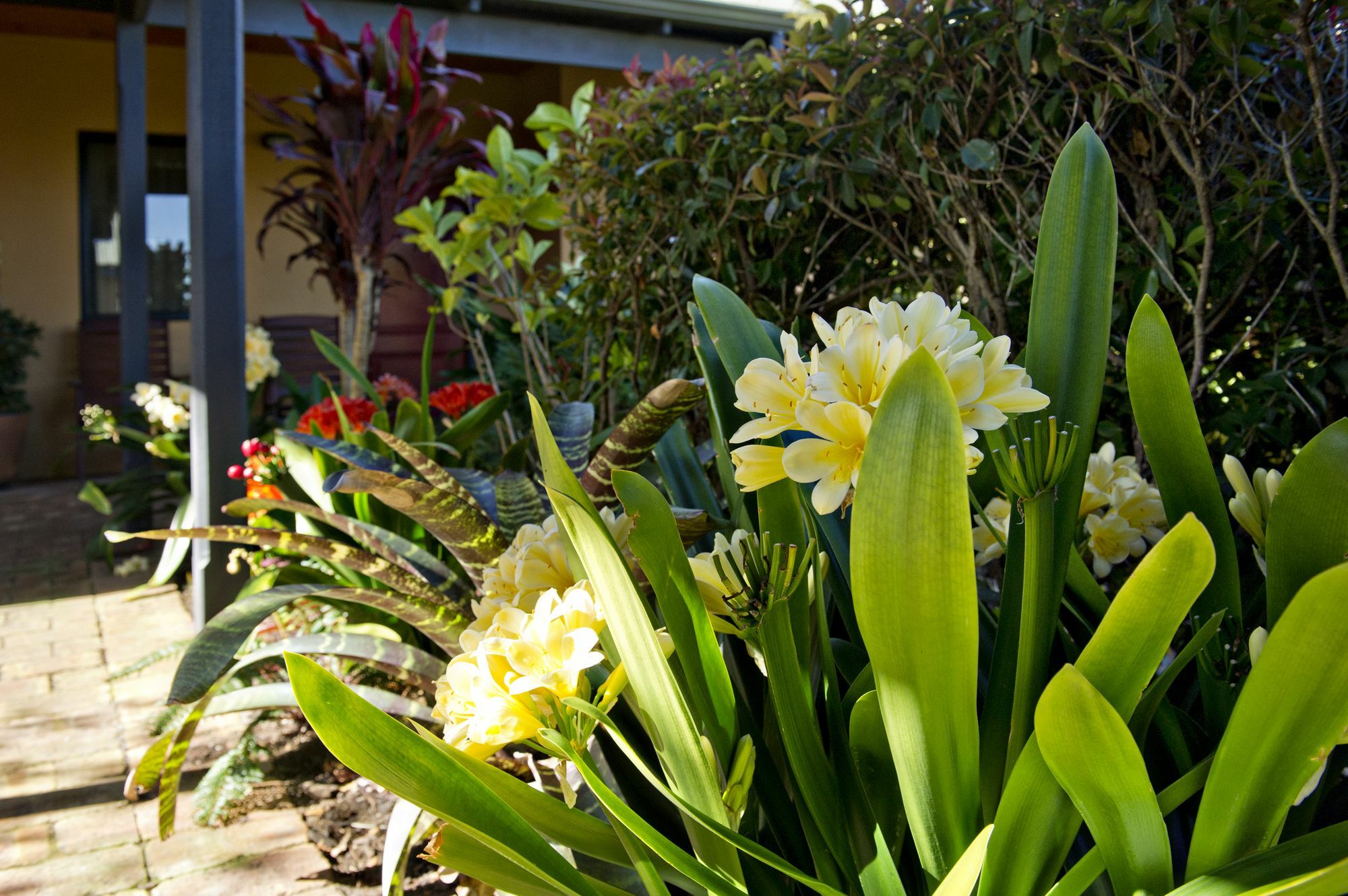 Vintages Accommodation Margaret River Exterior photo